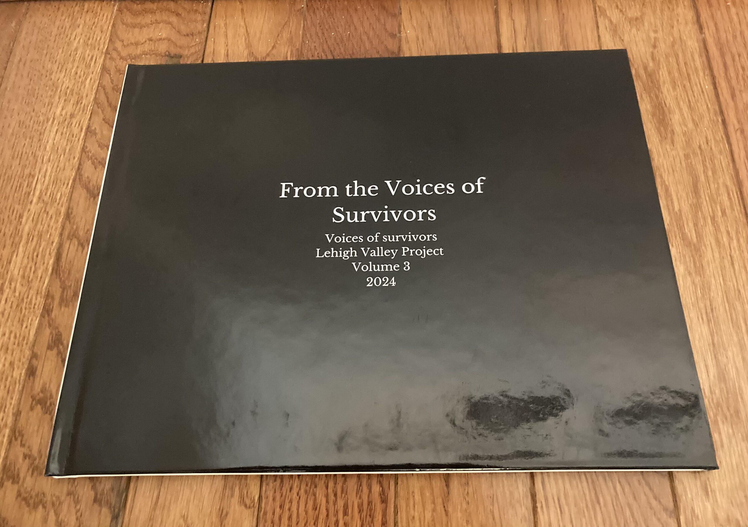 Voices of Survivors: Lehigh Valley Volume 3 book